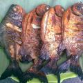 Cooksnap dari Rina Widodo untuk resep Ikan Bawal Bakar