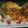 Rekha Rathod's cooksnap of when they made ડ્રાયફ્રુટ કચ્છી દાબેલી (DryFruit Kacchi Dabeli Recipe In Gujarati).