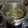 Cooksnap dari Bakulan iseng untuk resep Sop iga sapi beningku