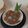 Cooksnap dari Endah Mumpuni untuk resep Bubur Sagu Rangi