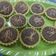 Cooksnap dari Yessi Hidayat untuk resep Pai broniS