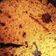 Pankti Baxi Desai's cooksnap of when they made વઘારેલી ખીચડી (Vaghareli Khichdi Recipe In Gujarati).