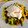 El cooksnap de coral cuando hizo Tagliatelle con salmón, ajetes y salsa roquefort .