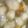 ShelleyHsiao 的 玉米蘿蔔排骨湯 cooksnap