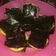 Cooksnap dari cook_108104139 untuk resep Imo Mochi (Mochi Kentang)