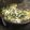 El cooksnap de David Graña Pérez cuando hizo Espinacas con gulas y huevo.