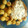 El cooksnap de Fabrizio F cuando hizo Pollo al champiñón y verdeo.