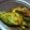 El cooksnap de Rocio Gua cuando hizo PEPINO🥒de Agua, (Caigua) relleno con Pollo🐤...!.