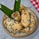 Cooksnap dari Dapur Olive untuk resep Mochi Goreng / Onde Kue Keranjang