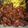 Cooksnap dari Pinol's untuk resep Dendeng balado daging kambing cepet dan simpel
