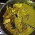 Cooksnap dari Umy Alif untuk resep Opor ayam simpel