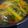 Cooksnap dari Olland Popaya untuk resep Ikan Gabus Bumbu Kuning