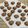 Cooksnap dari heidyharun untuk resep Doggie cookies
