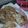 Payal Bhatt's cooksnap of when they made ચીઝ પરાઠા (cheese paratha recipe in Gujarati).