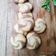 Cooksnap dari Lusy Kitchen 👩‍🍳 untuk resep Vortex Cookies