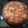 El cooksnap de Marü ES cuando hizo Torta invertida de manzana.
