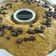 Cooksnap dari Kucingrabbit [ Anny ] untuk resep Banana Chocochips Cake (Cake Pisang Chocochips Tanpa Mixer)