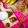Cooksnap dari Dapur_Fayfood EvaYulian untuk resep Cookies 3 bahan (recook)