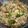 Cooksnap dari MeydaMiiyda SaiioShie untuk resep 91. Nasgor Tomyam Baby Cumi #Matsu