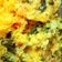 Neeta kamble का कुकस्नैप जब उन्होंने मूंग दाल खिचड़ी (Moong Dal Khichdi recipe in Hindi) बनाया था।