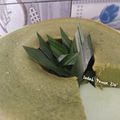 Cooksnap dari Indah 'Pawon Zie' untuk resep Bolu Kojo Oldiest khas Palembang