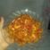Cooksnap dari Ananda Mey untuk resep Sambal Udang dan Tempe Mantaap👍🏽