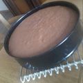 Melissa Lukacs Cooksnap-ja, amikor elkészítette a(z) Gyors, nagyon kakaós piskóta, teljes kiőrlésű lisztből receptet.