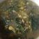 Cooksnap dari Lia Erani untuk resep Kapurung kuah kuning