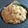 La cooksnap de Toni Martín cuando cocinó Risotto a la carbonara