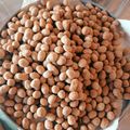 Cooksnap dari Theodora Venansya untuk resep Kacang telur gurih renyah