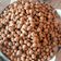 Cooksnap dari Theodora Venansya untuk resep Kacang telur gurih renyah
