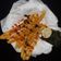 Cooksnap dari Hany Khaerunnisa untuk resep Stick Kentang Keju Crispy