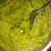 Bhagyashree Yash's cooksnap of when they made ફૂદીના ની ચટણી (Mint Chutney Recipe In Gujarati).