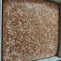 Cooksnap dari Dina Rahayu untuk resep Bolu panggang gula merah (gula jawa)