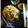 Swati Bharadwaj's cooksnap of when they made চিকেন ক্যাপ্সিকাম চাউমিন(Chicken Capsicum Chowmein recipe in Bengali).