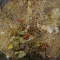 Cooksnap dari Ina Sulistiya untuk resep Bihun Goreng Jowo