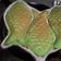 Cooksnap dari ala Aulian untuk resep Pandan Taiyaki