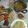 Cooksnap dari Ayu Farida Sugiarti untuk resep Sambal Soto