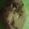 Cooksnap dari Agnes Citra untuk resep Lodeh nangka muda