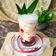Cooksnap dari Ati Agus Sapto (Mom's Firza) untuk resep Korean Strawberry Milk