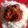 teema habeeb's cooksnap of when they made White rice,macaroni and chicken stew.
