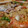 El cooksnap de evacarmen cuando hizo Paella de pescado y marisco.