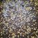 Cooksnap dari mutiara untuk resep Fudgy Shiny Crust Brownies