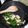รูป Cooksnap ของ Siyarat Pratumwan เมื่อเขาทำ ใบเหลียงผัดไข่