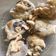 Cooksnap dari ajeng puspasari untuk resep DODOL CINA/KUE KERANJANG/THIAM PAN GORENG(EDISI IMLEK HARI KE20