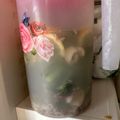 Cooksnap Siti Nur Hidayah Hasan semasa beliau membuat Air Soda Herbs.