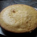 El cooksnap de Flor Fernandez cuando hizo Torta de naranja glaseada.
