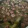 Cooksnap dari Akmal Alfaridzi untuk resep 33. Kuah Bakso Sapi Bumbu Halawa