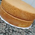 El cooksnap de Maria Barbieri cuando hizo Bizcochuelo Torta de Cumpleaños 🍰🎂.