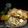 Neeti Patel's cooksnap of when they made મસાલા પાવ (Masala Pau Recipe In Gujarati).